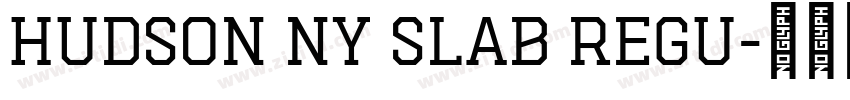 Hudson NY Slab Regu字体转换
